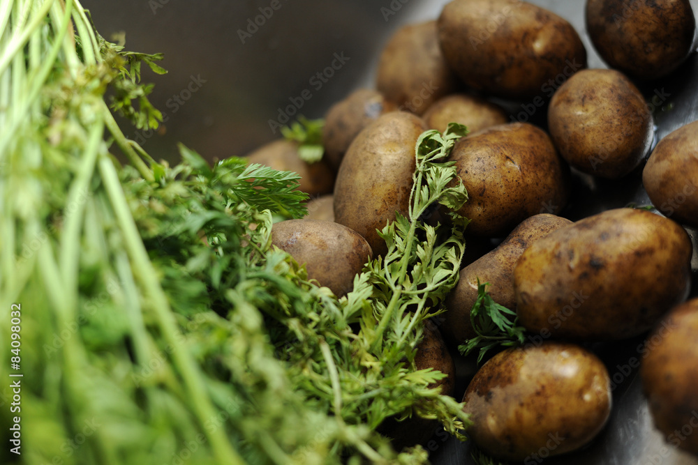 Bio Kartoffeln und das grün von einem Bund Möhren, frisch vom Feld Bio Kartoffeln und das grün von einem Bund Möhren, frisch vom Feld