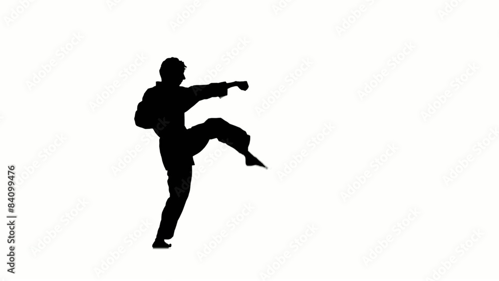kung fu, karate, martial arts, karate It is doing a back flip kung fu, karate, martial arts, karate It is doing a back flip