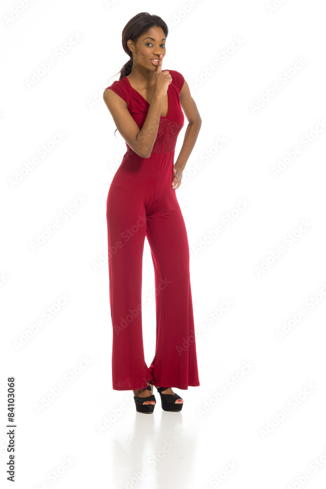 Model isolated with a secret Model isolated with a secret