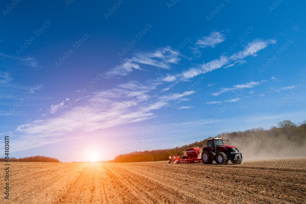 Naklejka premium Spring field works