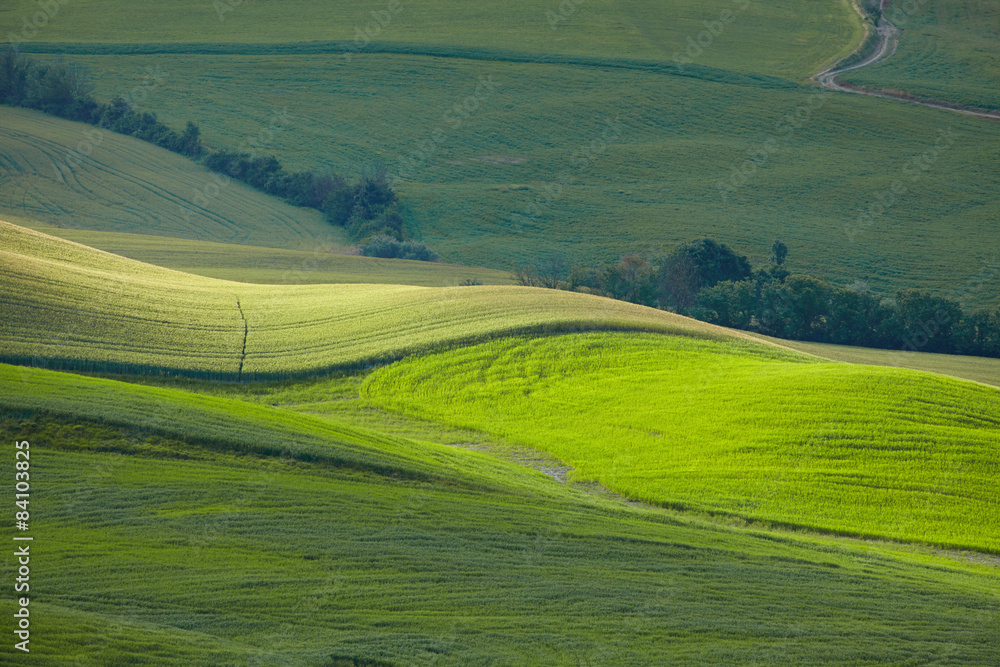 Beautiful Tuscany hills, Italy.