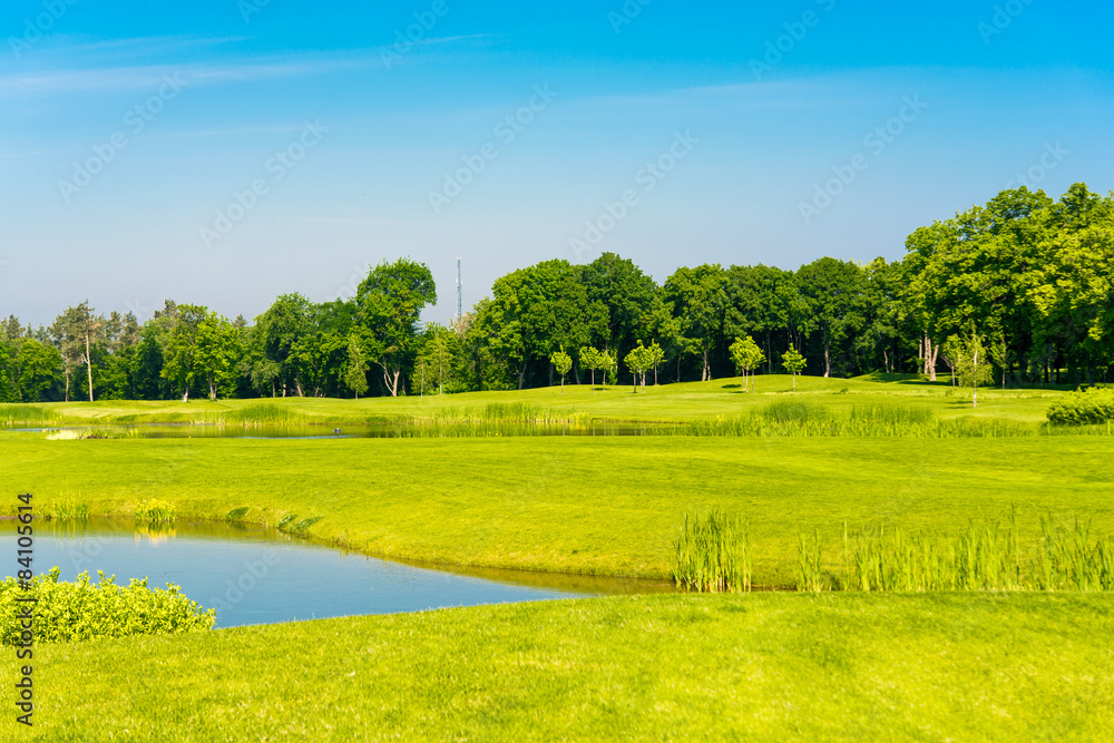 Obraz premium spring landscape