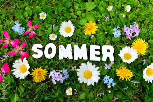 Sommer text auf Blumen Wiese