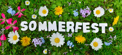 Sommerfest Text auf Blumen Wiese