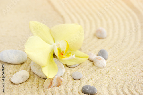 Orchid and sea stones on sandy beach