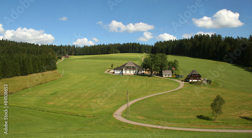 Schwarzwald (Deutschland) / Sommerlandschaft