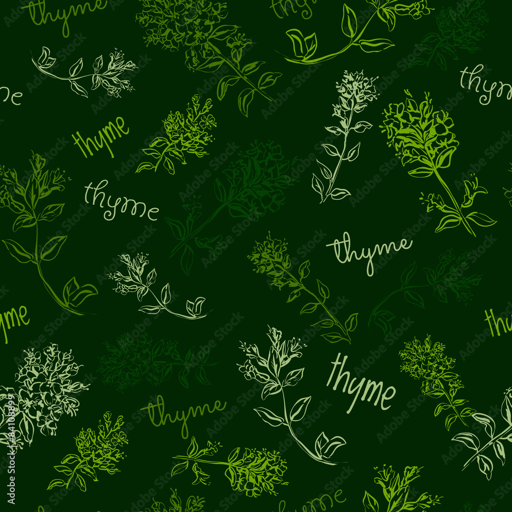Seamless pattern with thyme