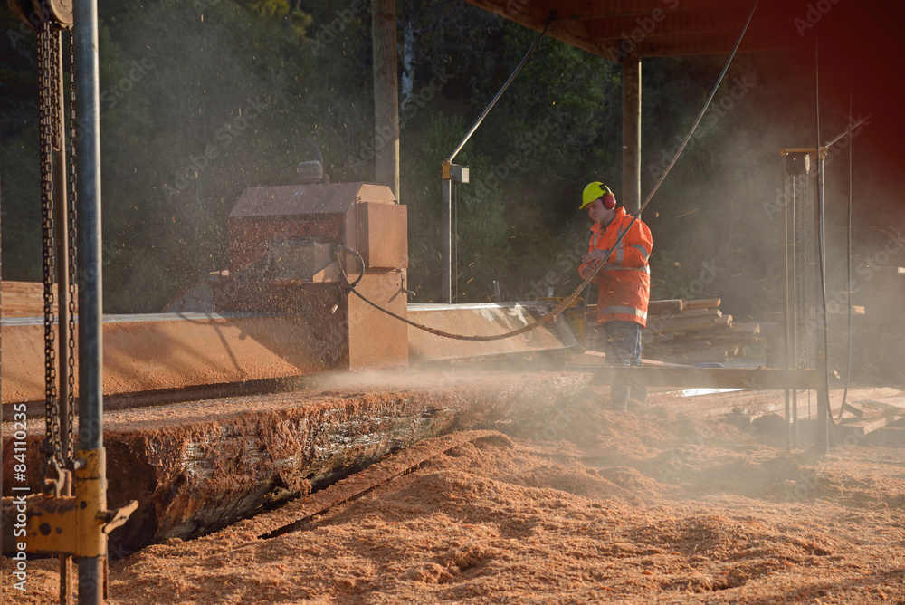 Fototapeta premium sawing the log