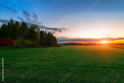 Sunset over the green field