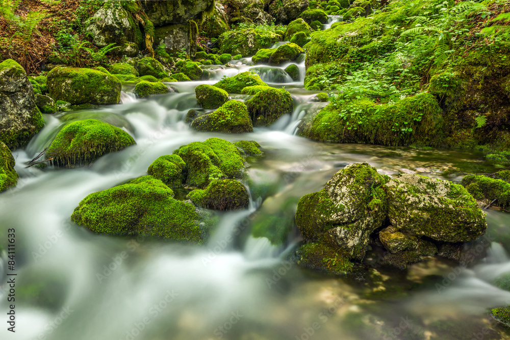 Forest creek and rocks covered with moss Forest creek and rocks covered with moss