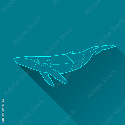 whale wireframe photo