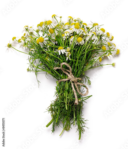 Fototapeta Naklejka Na Ścianę i Meble -  bouquet of chamomile flowers