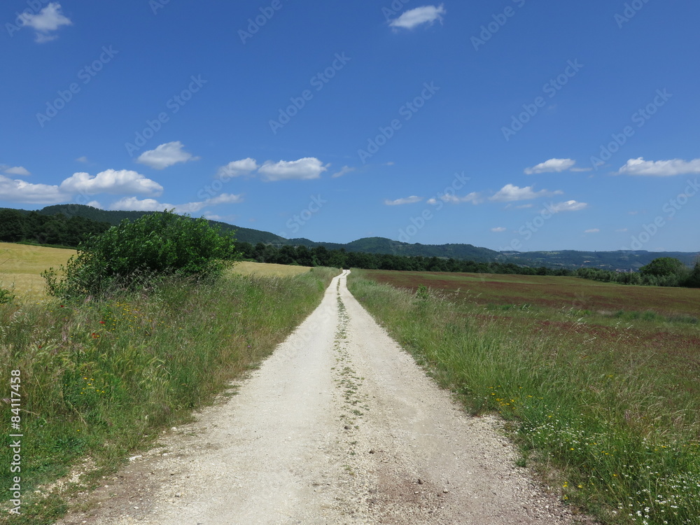 Fototapeta premium strada bianca