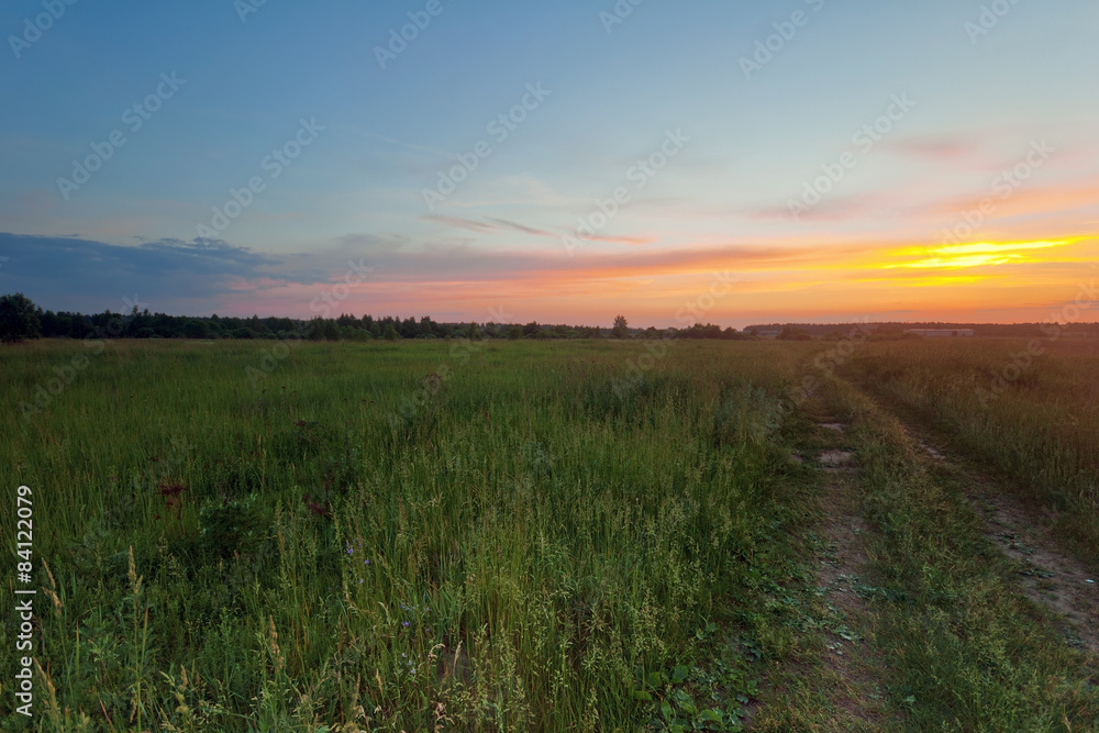 Fototapeta premium Road in sunset field