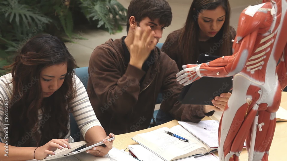 A group of students do lab work during their anatomy and physiology lecture A group of students do lab work during their anatomy and physiology lecture