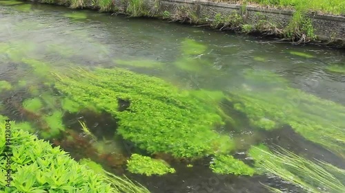 安曇野の湧水