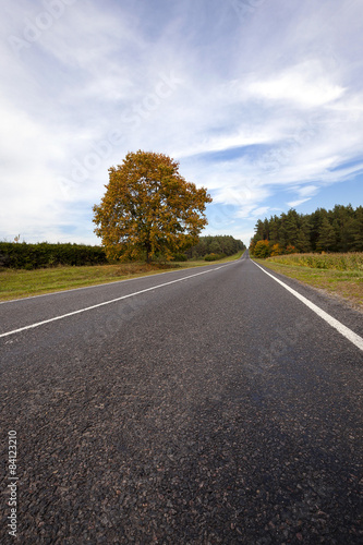the autumn road 