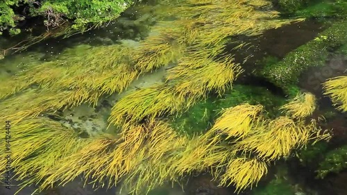 安曇野の湧水