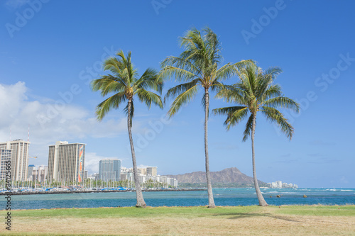 Palm tree with Diamond head mountain background  Hawaii