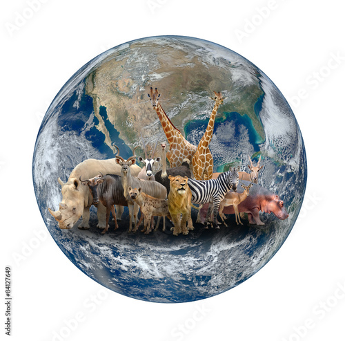 Fototapeta Naklejka Na Ścianę i Meble -  group of africa animal with planet earth