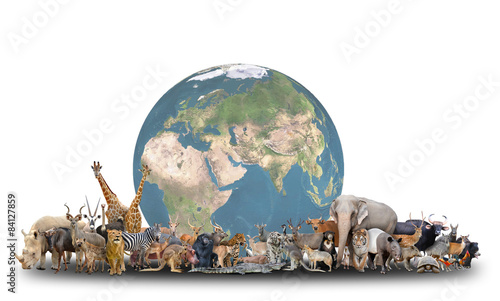animal of the world with planet earth photo