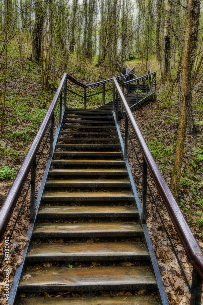 Stairway in the forest