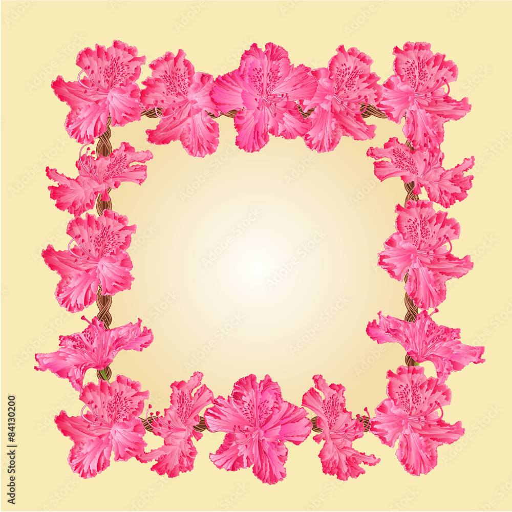 Frame with Rhododendron vector