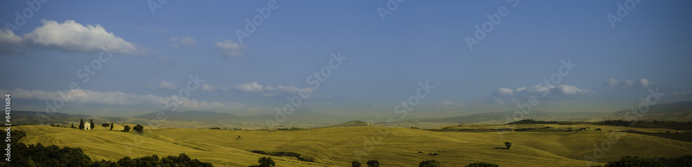 toskania, panorama, winnica, val d’orcia, włochy, sierpień, cyprysy, Tuscany, vineyard, Val d'Orcia, Italy, August, cypresses