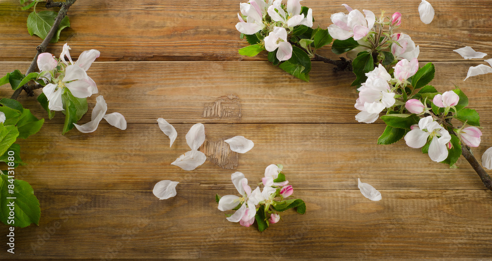 blooming apple twig on a rustic wooden background. blooming apple twig on a rustic wooden background.