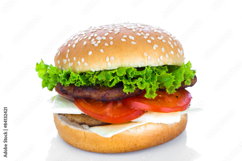 Hamburger on white background Hamburger on white background