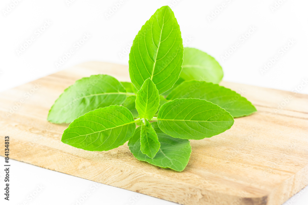 basil leaves basil leaves