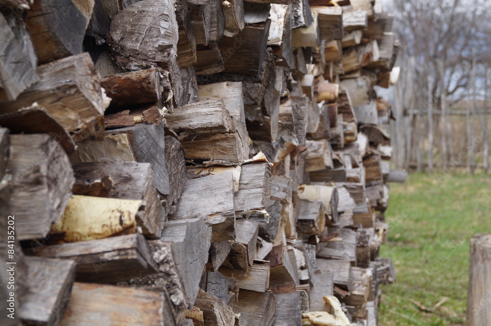 The cut-down wood, preparation of firewood for the winter