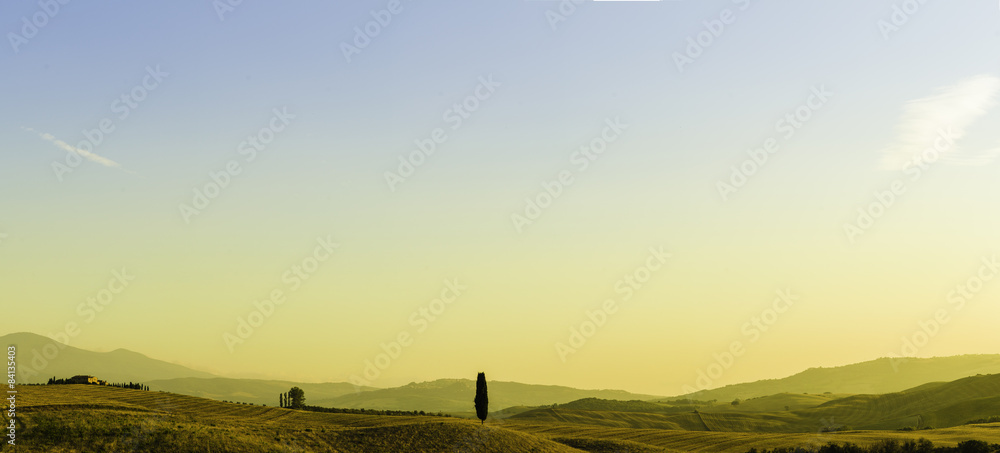 Obraz premium toskania, panorama, winnica, val d’orcia, włochy, sierpień, cyprysy, Tuscany, vineyard, Val d'Orcia, Italy, August, cypresses