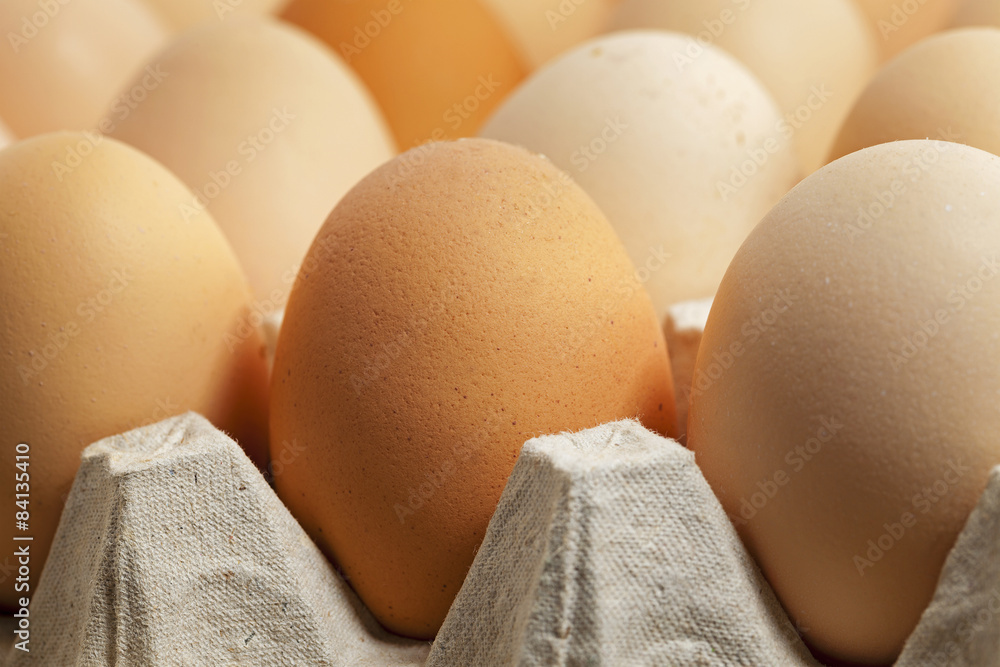 eggs. close up eggs. close up