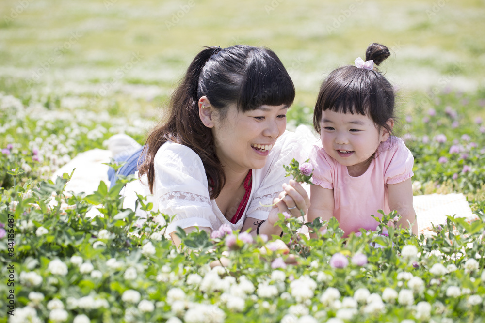 草原で遊ぶ親子 草原で遊ぶ親子