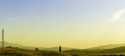 toskania, panorama, winnica, val d’orcia, włochy, sierpień, cyprysy, Tuscany, vineyard, Val d'Orcia, Italy, August, cypresses