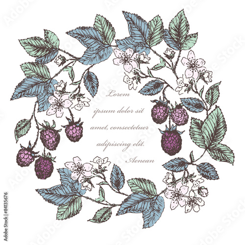 Photos Blackberries 3