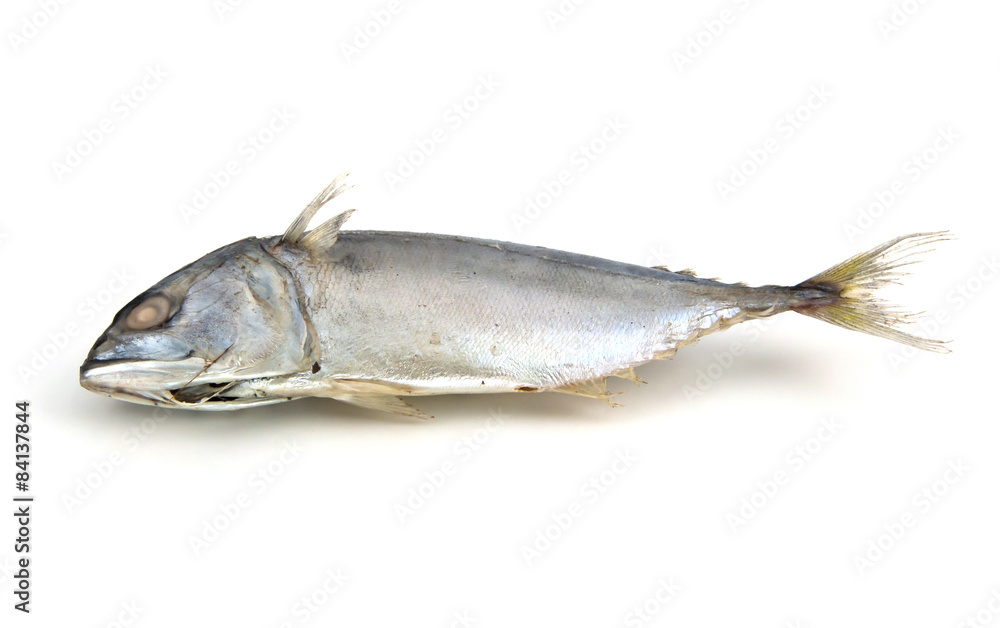steamed boiled mackerel ready for cook one of the most favorite steamed boiled mackerel ready for cook one of the most favorite