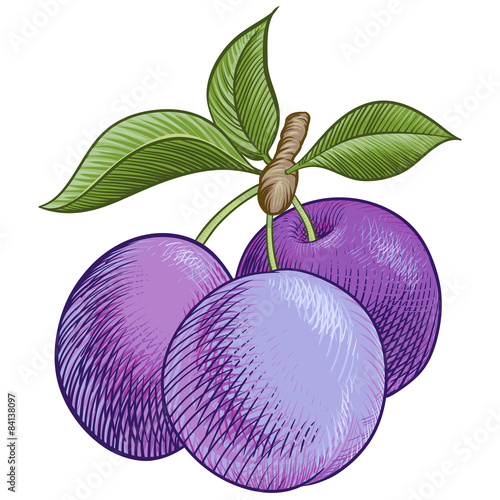 Ripe plum