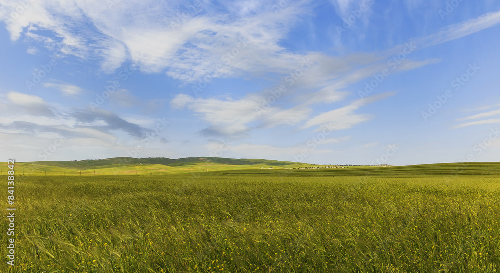 Cultivated fields in the mountains of Gobustan (Azerbaijan)