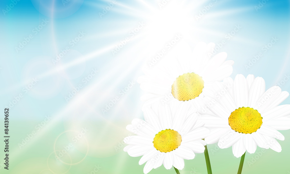 Daisy and the sun Daisy and the sun