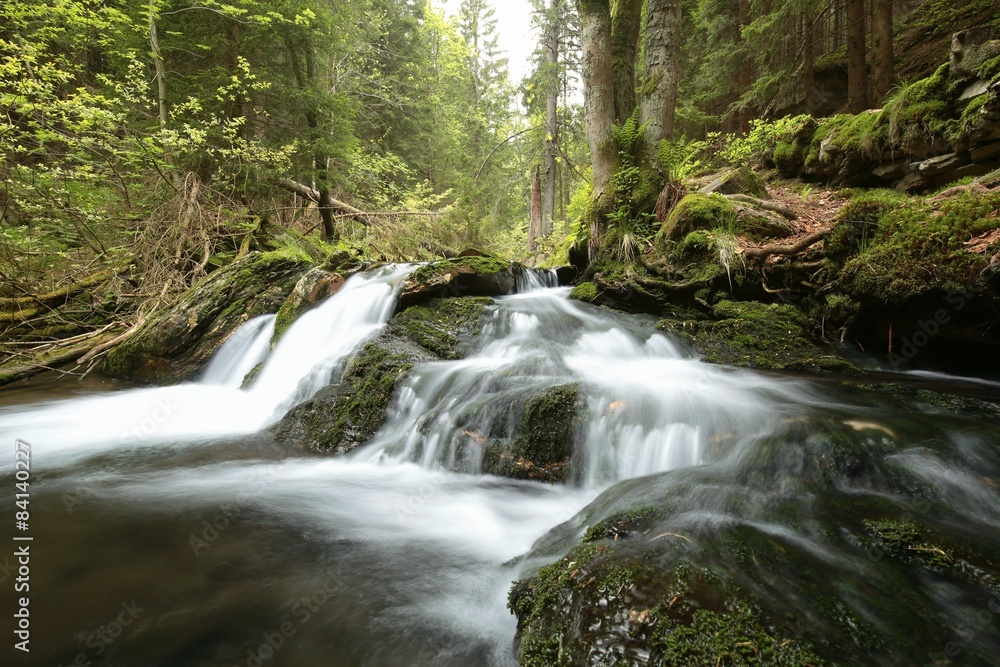Forest stream in the valley flowing from the mountains Forest stream in the valley flowing from the mountains