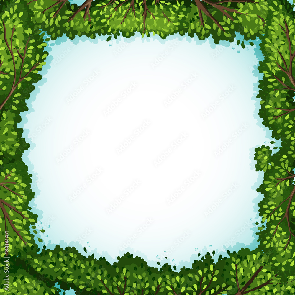 Fototapeta premium Frame