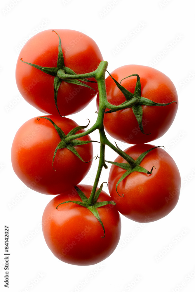 Red tomatoes on a branch Red tomatoes on a branch