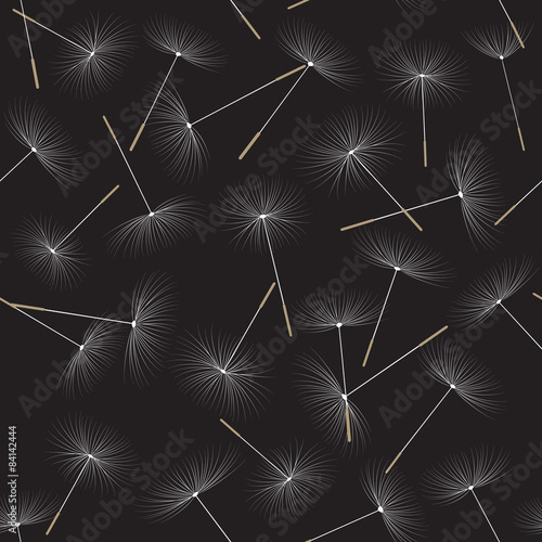 pattern with dandelion parachutes