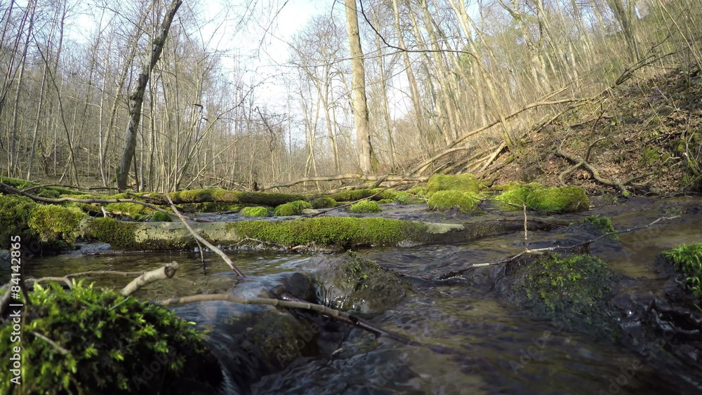 wild brook water flow. mossy trees and stones. 4K wild brook water flow. mossy trees and stones. 4K