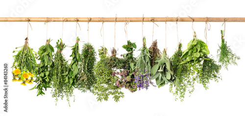 Fresh herbs hanging. Basil, rosemary, thyme, mint, dill, sage