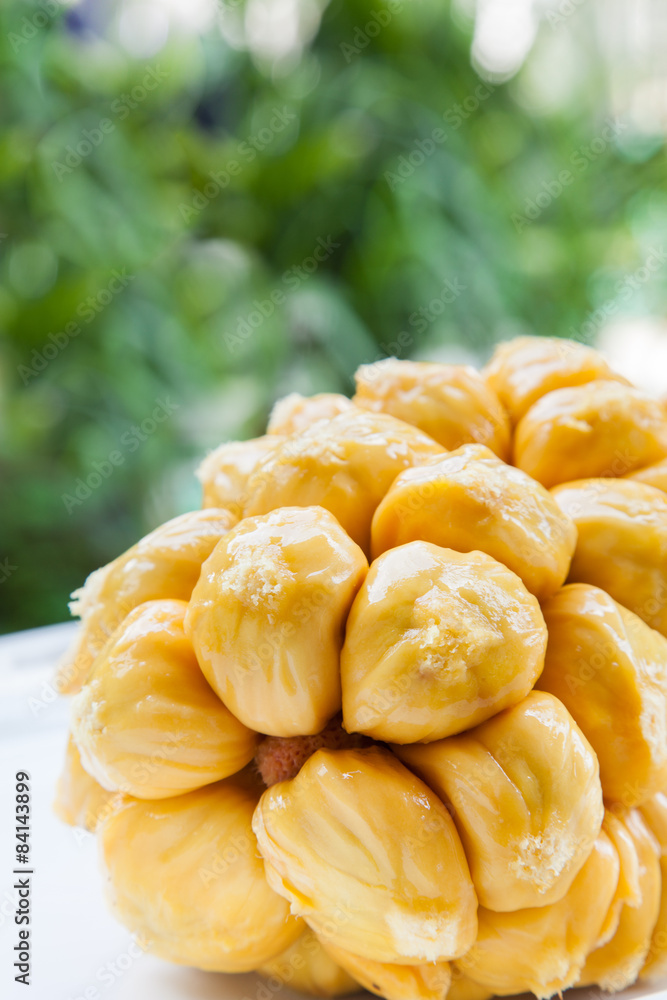 Group of fresh chempedak arils, a fruit native to South East Asi
