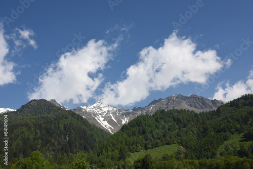 paesaggio verde montagna alpi cime 