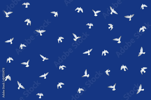 Wallpaper Mural Taubenflug, q. Torontodigital.ca